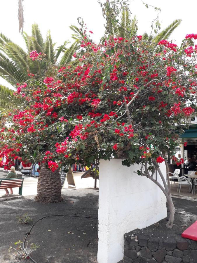 Sunny Self-Catering Apartment Costa Teguise, Lanzarote, Spain Екстериор снимка